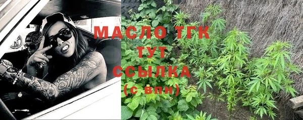 ешки Инта