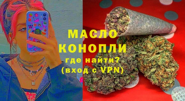 ешки Инта