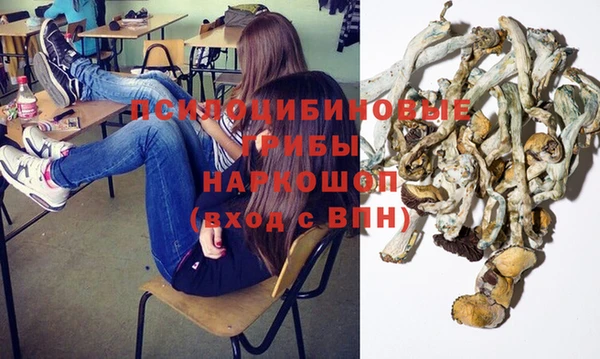 метадон Зеленодольск